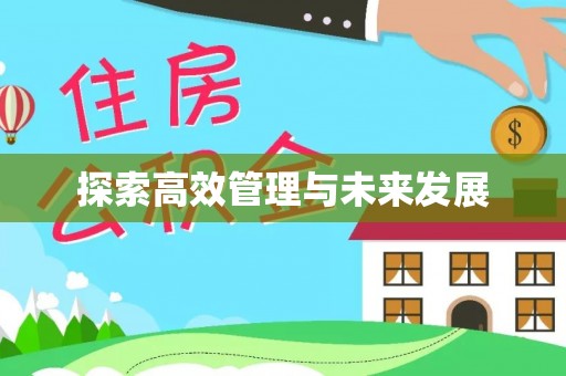 布袋探索高效管理与未来发展