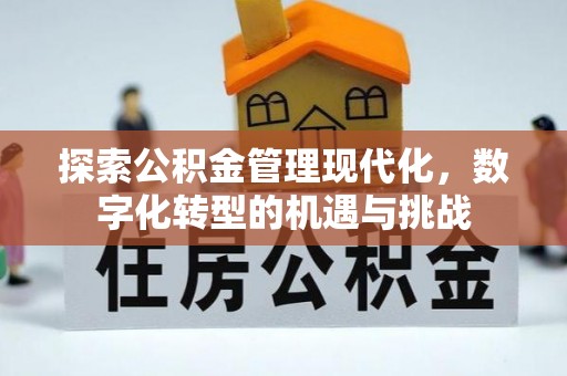 布袋探索公积金管理现代化，数字化转型的机遇与挑战