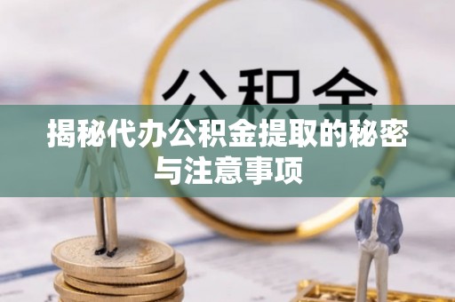 布袋揭秘代办公积金提取的秘密与注意事项