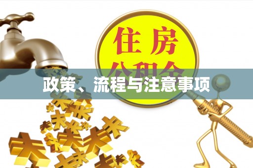 布袋政策、流程与注意事项