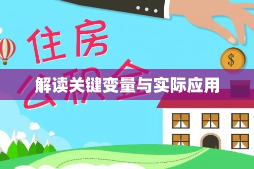 布袋解读关键变量与实际应用