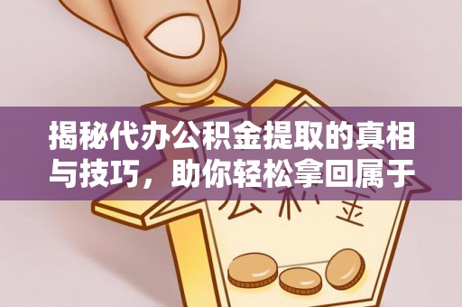 布袋揭秘代办公积金提取的真相与技巧，助你轻松拿回属于你的钱