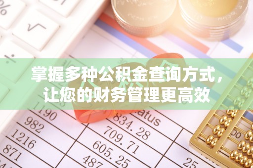 布袋掌握多种公积金查询方式，让您的财务管理更高效