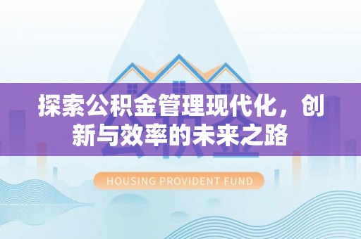 布袋探索公积金管理现代化，创新与效率的未来之路