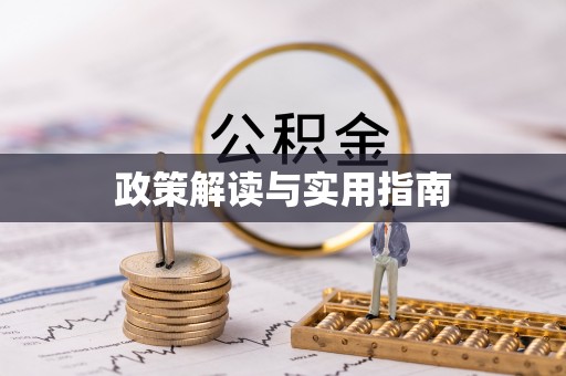 布袋政策解读与实用指南