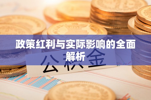 布袋政策红利与实际影响的全面解析