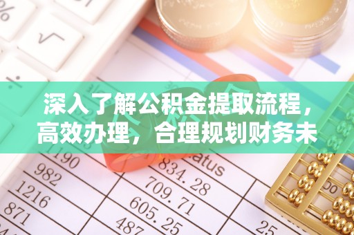 布袋深入了解公积金提取流程，高效办理，合理规划财务未来