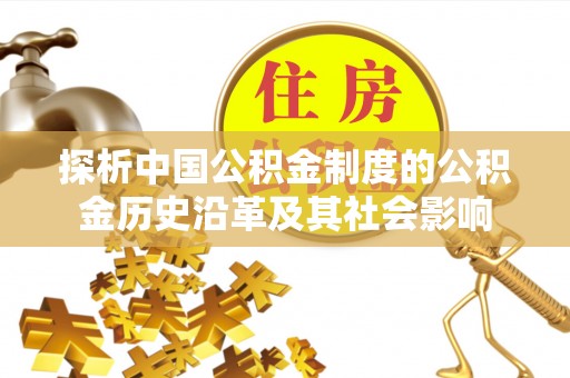 布袋探析中国公积金制度的公积金历史沿革及其社会影响