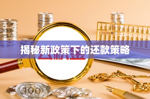 布袋揭秘新政策下的还款策略