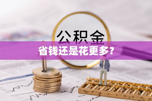 布袋省钱还是花更多？