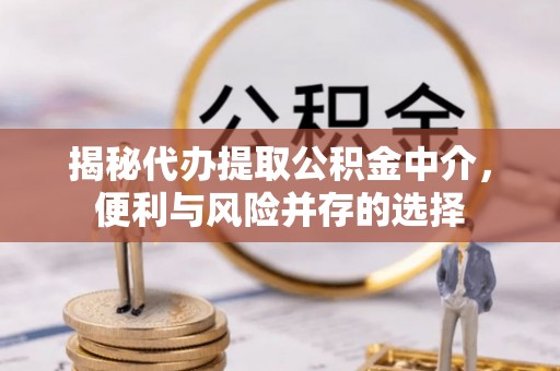 布袋揭秘代办提取公积金中介，便利与风险并存的选择