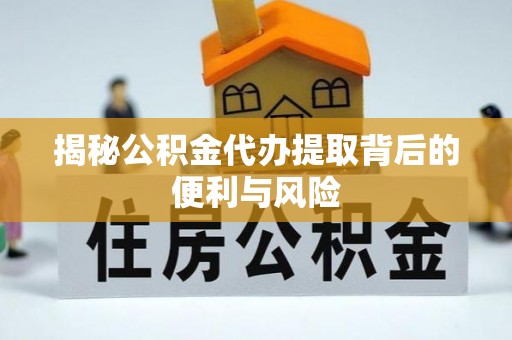 布袋揭秘公积金代办提取背后的便利与风险
