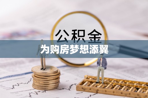 布袋为购房梦想添翼