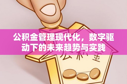 布袋公积金管理现代化，数字驱动下的未来趋势与实践