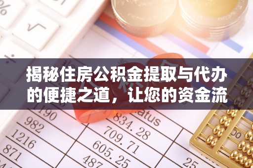 布袋揭秘住房公积金提取与代办的便捷之道，让您的资金流动更高效
