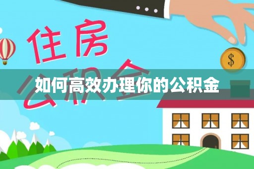 布袋如何高效办理你的公积金