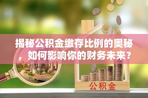 布袋揭秘公积金缴存比例的奥秘，如何影响你的财务未来？