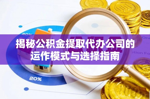 布袋揭秘公积金提取代办公司的运作模式与选择指南