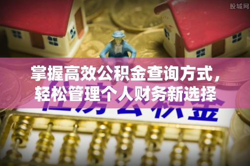 布袋掌握高效公积金查询方式，轻松管理个人财务新选择