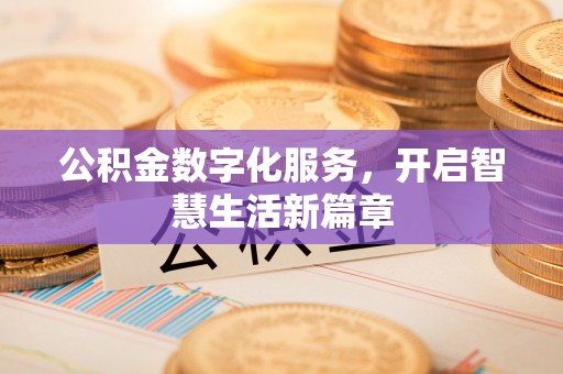 布袋公积金数字化服务，开启智慧生活新篇章
