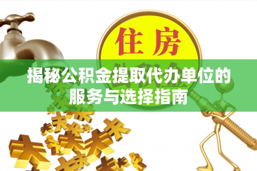 布袋揭秘公积金提取代办单位的服务与选择指南