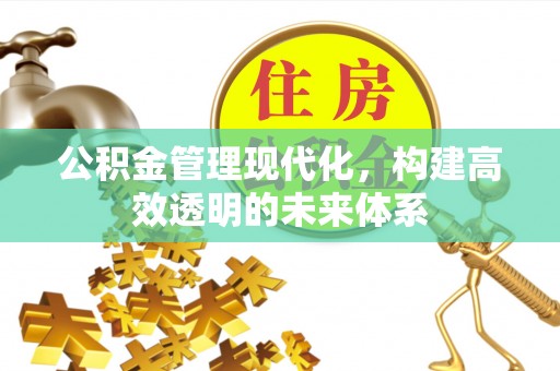 布袋公积金管理现代化，构建高效透明的未来体系