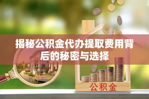 布袋揭秘公积金代办提取费用背后的秘密与选择