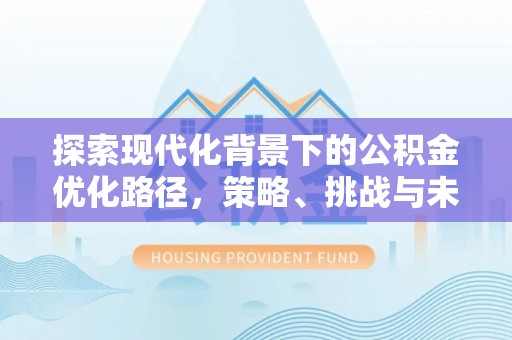 布袋探索现代化背景下的公积金优化路径，策略、挑战与未来展望
