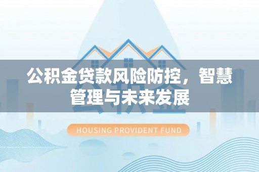 布袋公积金贷款风险防控，智慧管理与未来发展