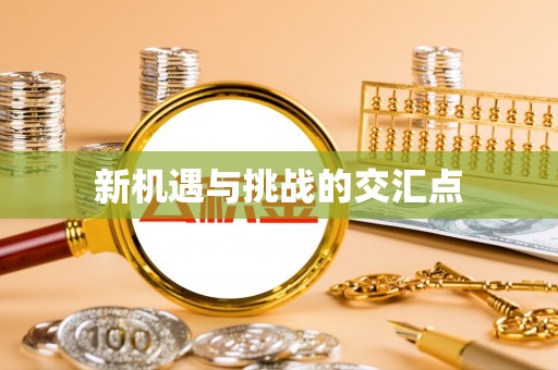 布袋新机遇与挑战的交汇点