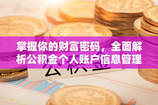 布袋掌握你的财富密码，全面解析公积金个人账户信息管理与优化