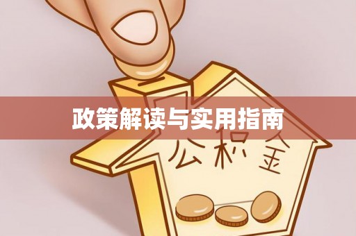 布袋政策解读与实用指南