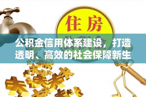 布袋公积金信用体系建设，打造透明、高效的社会保障新生态