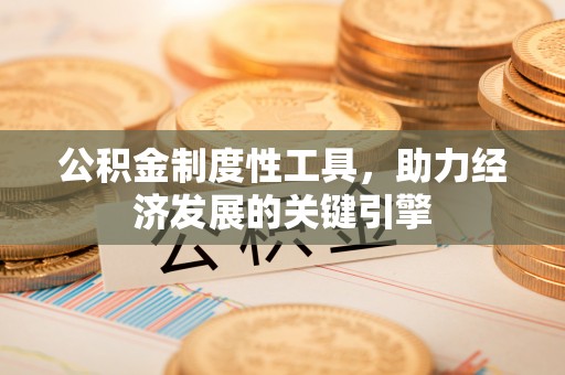 布袋公积金制度性工具，助力经济发展的关键引擎