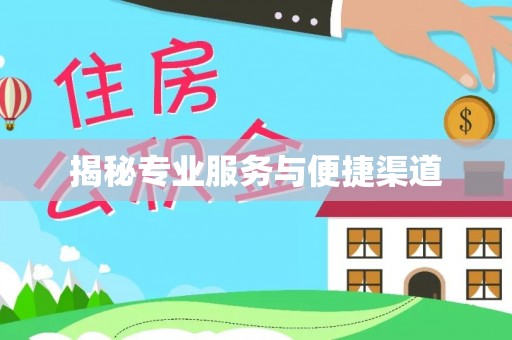 布袋揭秘专业服务与便捷渠道