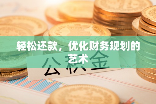 布袋轻松还款，优化财务规划的艺术