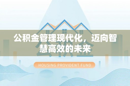布袋公积金管理现代化，迈向智慧高效的未来