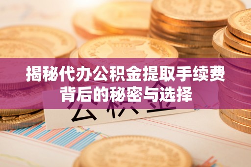布袋揭秘代办公积金提取手续费背后的秘密与选择