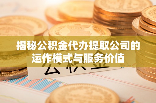 布袋揭秘公积金代办提取公司的运作模式与服务价值
