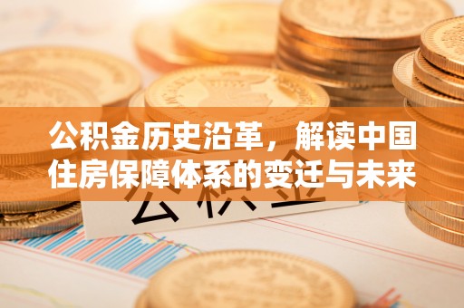 布袋公积金历史沿革，解读中国住房保障体系的变迁与未来