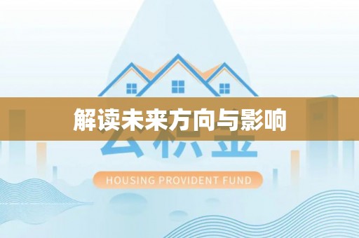 布袋解读未来方向与影响