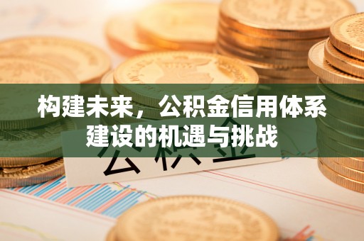 布袋构建未来，公积金信用体系建设的机遇与挑战