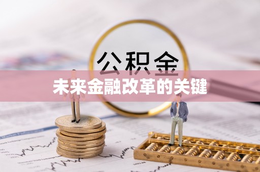 布袋未来金融改革的关键