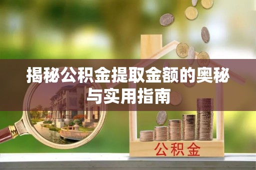 布袋揭秘公积金提取金额的奥秘与实用指南