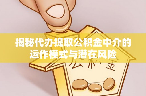 布袋揭秘代办提取公积金中介的运作模式与潜在风险