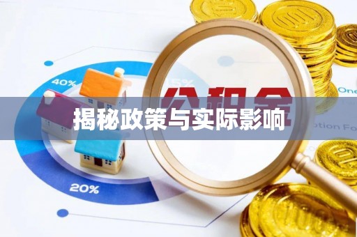 布袋揭秘政策与实际影响