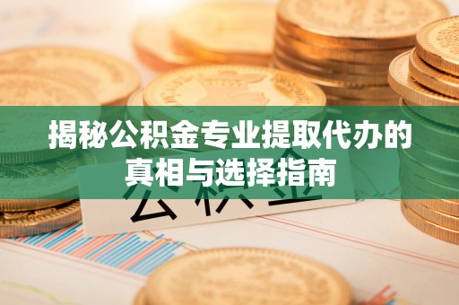布袋揭秘公积金专业提取代办的真相与选择指南