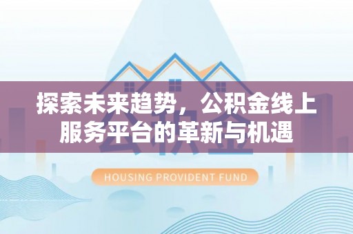 布袋探索未来趋势，公积金线上服务平台的革新与机遇