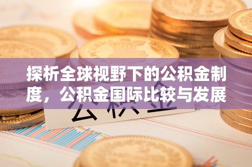 布袋探析全球视野下的公积金制度，公积金国际比较与发展趋势