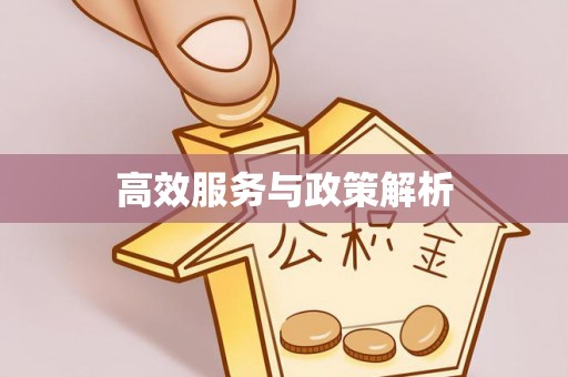 布袋高效服务与政策解析